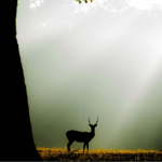 The Danger that lurks  in the Boardroom