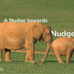 ​A Nudge towards Nudges